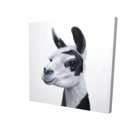 FONDO 16 x 16 in. Black & White Lama-Print on Canvas FO2790785